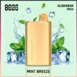 Alibarbar Rich Mint Breeze 8000 Puffs
