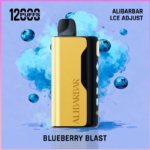 ALIBARBAR Ice Adjust 12000 Puffs Blueberry blast