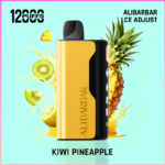 ALIBARBAR Ice Adjust 12000 Puffs Kiwi pineapple