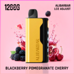ALIBARBAR Ice Adjust 12000 Puffs Blackberry Pomegranate Cherry